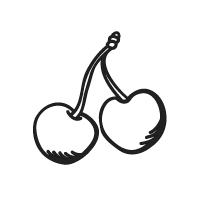 Fruit icon